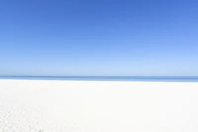 Illustration clearing - Image 1