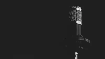 Illustration microphones - Image 2