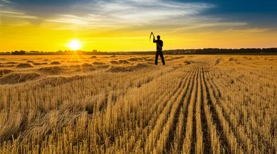 Illustration reaping