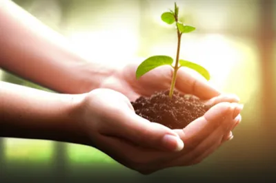 Illustration pet - Image 1