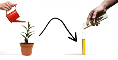 Illustration likewise