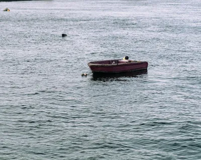 Illustration drifted - Image 2