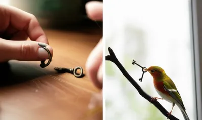 Illustration coincidental - Image 1