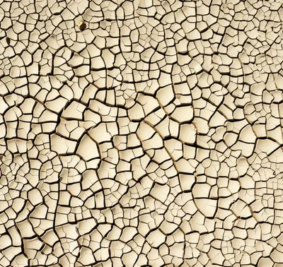 Illustration disjunct - Image 1