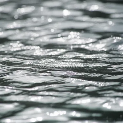 Illustration wobbles - Image 1