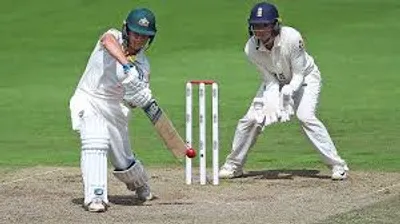 Illustration cricket - Image 2