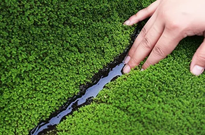 Illustration channeling