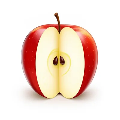 Illustration evident