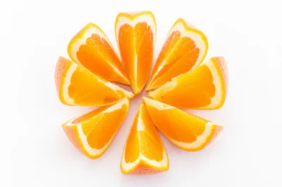 Illustration sectionalize - Image 1