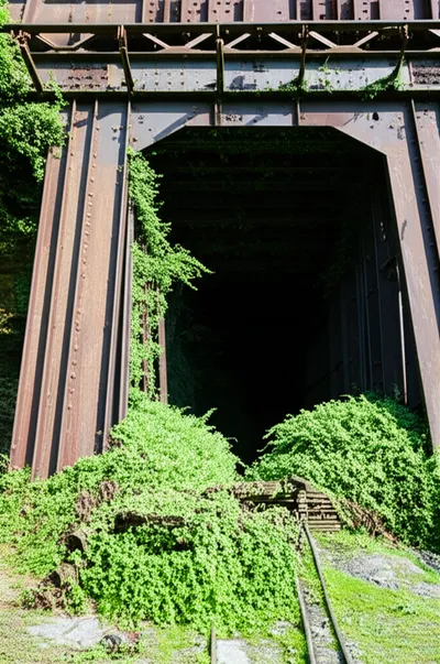 Illustration scowl - Image 1