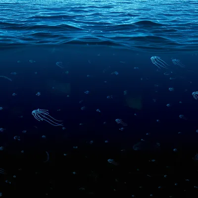 Illustration depths - Image 1