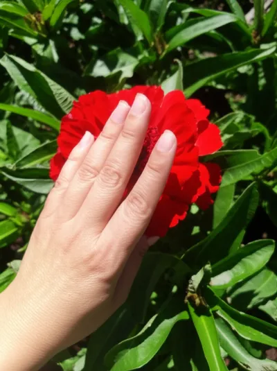 Illustration stifled - Image 1