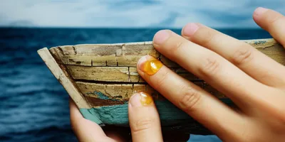 Illustration salve - Image 1