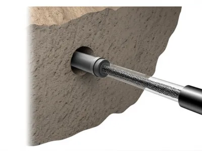 Illustration reed - Image 1