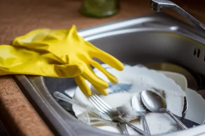 Illustration marigold