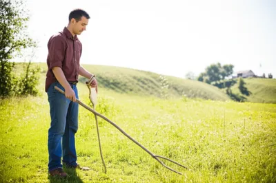 Illustration diviner - Image 1