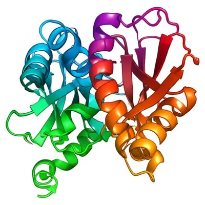 Illustration zippers - Image 1