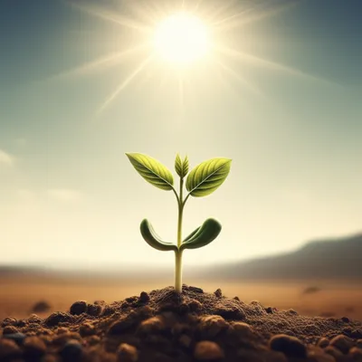 Illustration signifier