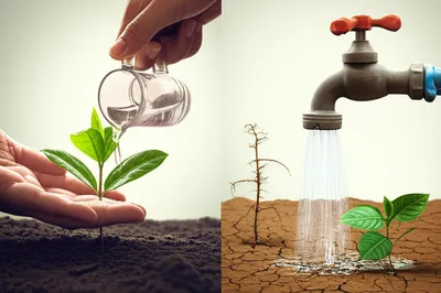 Illustration provident - Image 1