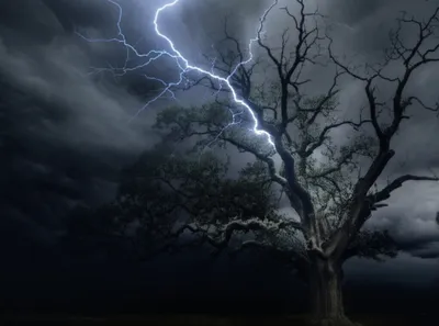 Illustration boults - Image 1