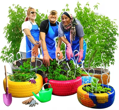 Illustration utilising - Image 1