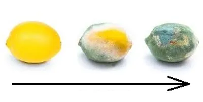 Illustration degrade - Image 2