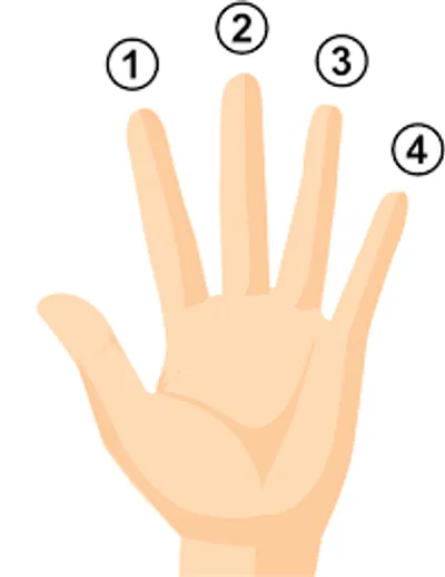 Illustration finger - Image 5