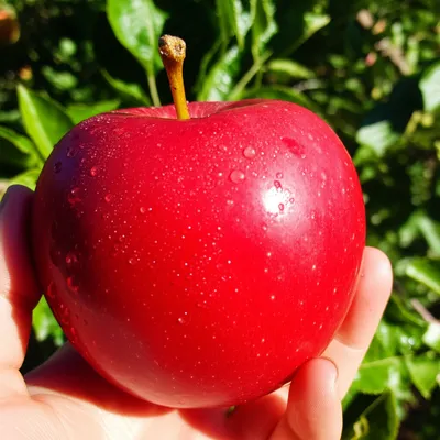 Illustration tangible - Image 1