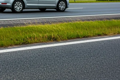 Illustration flank - Image 1