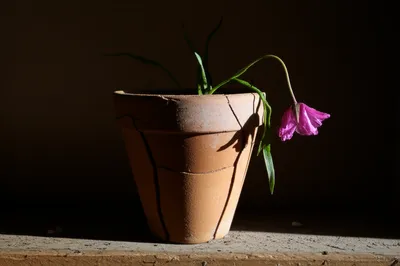 Illustration thirds - Image 1