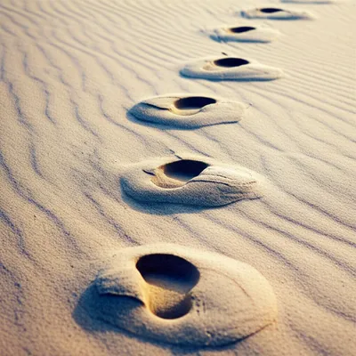 Illustration lost - Image 1