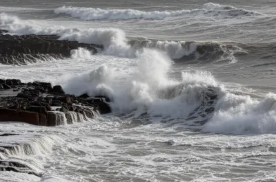 Illustration brim - Image 1