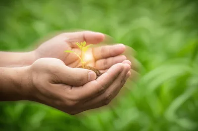 Illustration enfold - Image 1