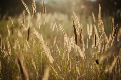 Illustration spires - Image 1