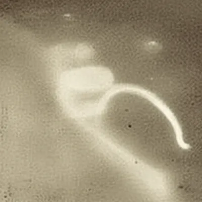 Illustration rudiments - Image 1