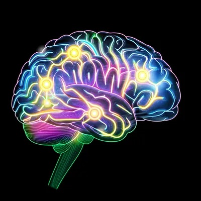 Illustration rewiring - Image 1