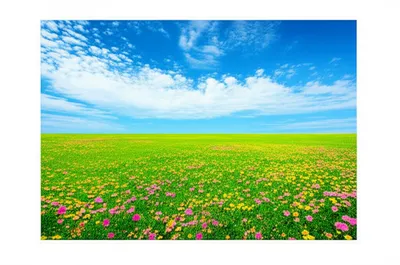 Illustration margined - Image 1