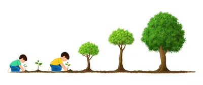 Illustration lustrum - Image 1