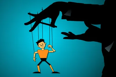 Illustration gull - Image 1