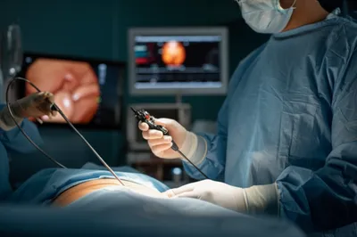 Illustration lap - Image 1