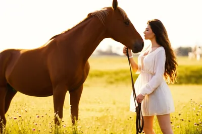 Illustration filly - Image 1