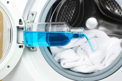 Illustration blew - Image 1