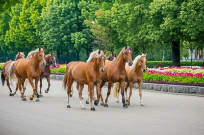 Illustration parked - Image 1