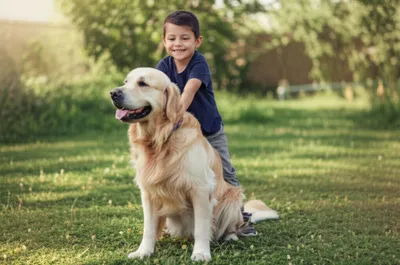 Illustration backed - Image 1