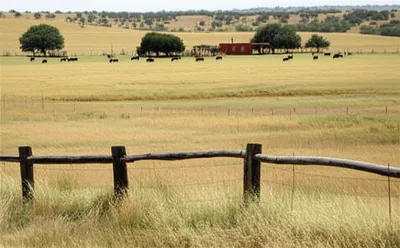 Illustration labours - Image 1