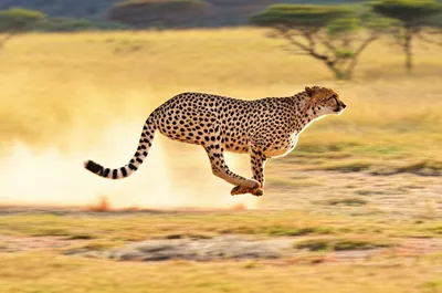 Illustration gay - Image 1