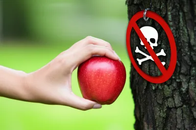 Illustration illegal