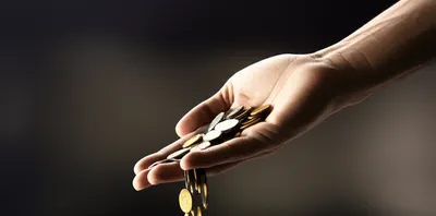 Illustration shells - Image 1