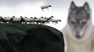 Illustration susceptible - Image 1