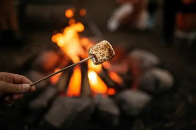 Illustration toasting - Image 1